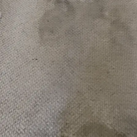 move out Carpet deep cleaning